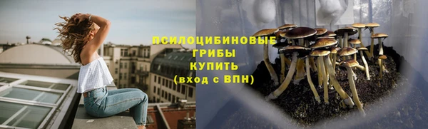 мескалин Новозыбков