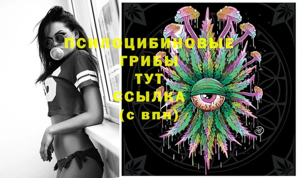 хмурый Нязепетровск