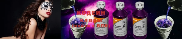 индика Новокубанск