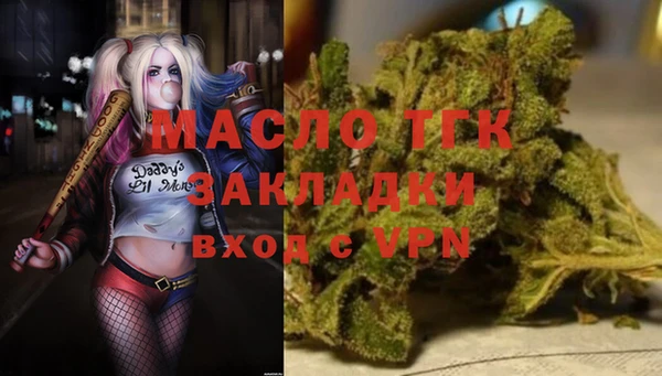 дмт Новодвинск
